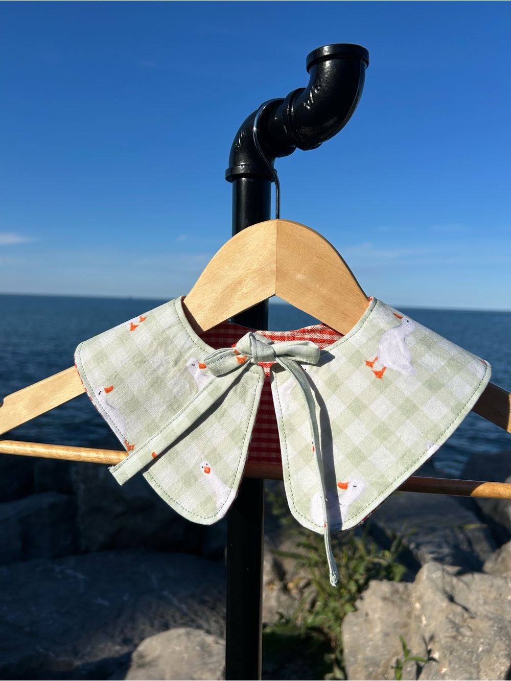Reversible Detachable Collar in Light Sage with Duck Print